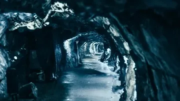 Капсула часу в Норвегії: вчені відкрили занедбану печеру із залишками унікальної екосистеми Арктики
