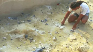 «Надзвичайне відкриття»: в Англії знайшли унікальний інструмент віком півмільйона років