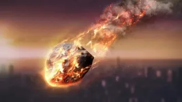 Зникнення людства: вчені назвали тварину, яка переживе будь-яку катастрофу