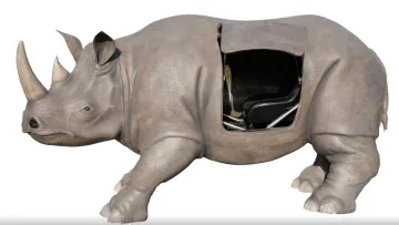 Легендарний носоріг, що «народив» Джима Керрі у фільмі Ейс Вентура, виставлений на продаж: яка ціна експонату