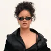 Розкішна поява Ріанни на показі Dior в Парижі: скільки коштує її діамантовий браслет