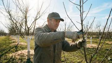 Що обов’язково зробити в саду у березні: чек-лист для ідеального весняного подвір’я