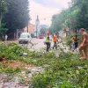 У Львові блискавка влучила в дитину під час грози: у якому стані зараз перебуває 6-річна дівчинка