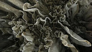 NASA зацікавилася пустелею Чіуауа: у гігантських печерах шукають інопланетне життя