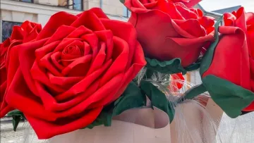 У центрі Харкова встановили декорації на 8 березня: в соцмережах показали, як вони виглядають 