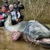 Сом-рекордсмен здивував усіх: фото найбільшої риби прісних водойм, яку вдалося зловити