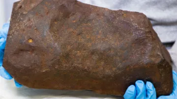 17 кг космосу: чоловік думав, що знайшов золото, але натрапив на один із найцінніших метеоритів