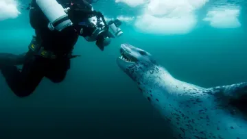 «Мурашки по спині»: українські науковці зіткнулися з велетенським хижаком в Антарктиці