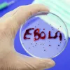 Десятки смертей і сотні випадків захворювань: ВООЗ оголосила надзвичайну ситуацію через спалах Еболи в Африці