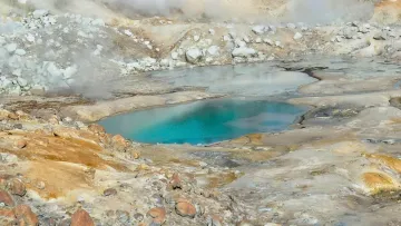Життя при 63 °C: вчені знайшли організм, який встановив температурний рекорд