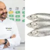 Рецепт пряної маринованої тюльки зі стиглими томатами: шедевр із простої риби від Володимира Ярославського