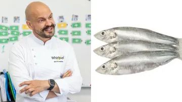 Рецепт пряної маринованої тюльки зі стиглими томатами: шедевр із простої риби від Володимира Ярославського