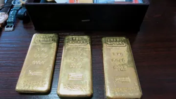 Батько ексміністра часів Януковича хотів через суд повернути 48 кг золота і $4,8 млн: що вирішили судді