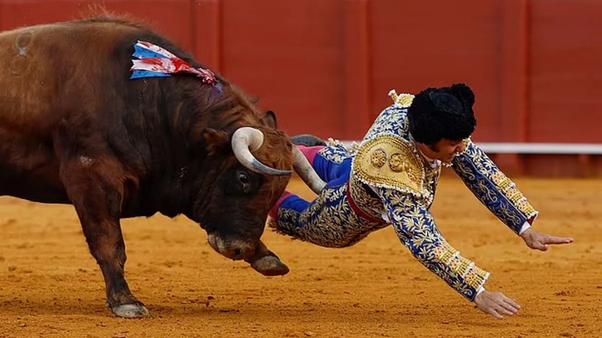 В Іспанії відомий матадор потрапив на роги розлюченого бика: невдалий трюк ледь не коштував йому життя