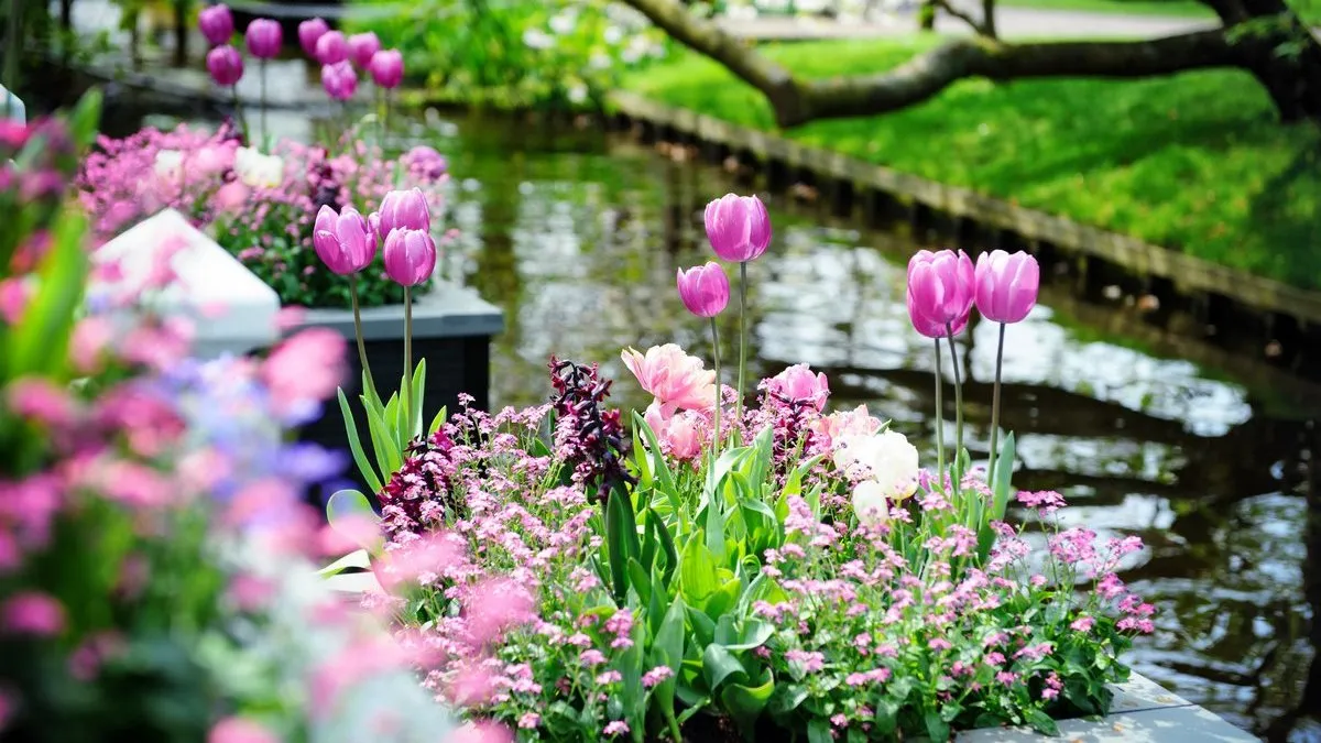 Чому в українській мові немає місяця «май»: як правильно називати травень і що означає ця назва