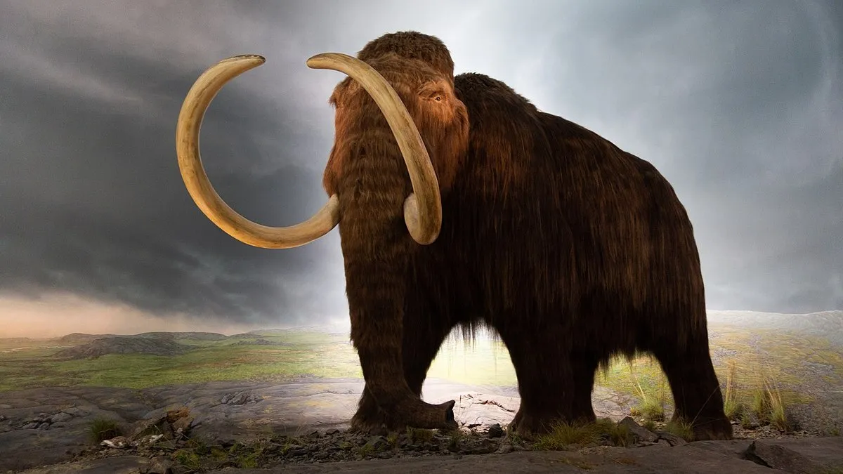 На Алясці знайшли знаряддя праці зі слонової кістки мамонта: результати дослідження 