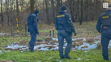 Вбивство 22-річної українки в Чехії: відомо, як стався злочин та хто у ньому зізнався